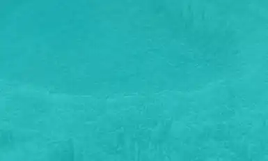 Reservoir Simulation, USA 2026